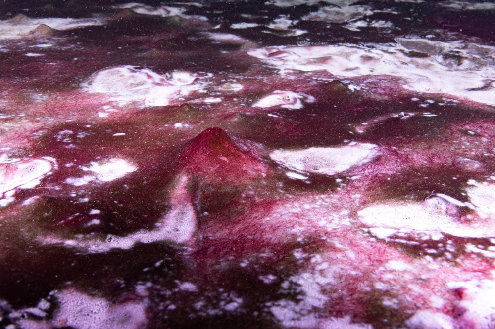 Tango in the Matworld Paper Now In Press